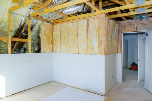 Best Commercial Insulation in Agler Beach, FL