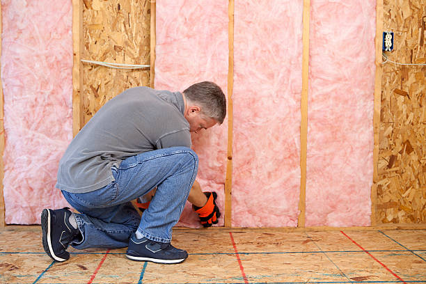 Best Residential Insulation in Agler Beach, FL