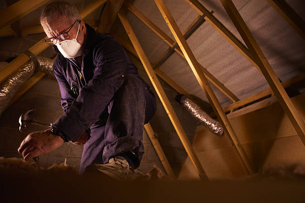 Types of Insulation We Offer in Flagler Beach, FL
